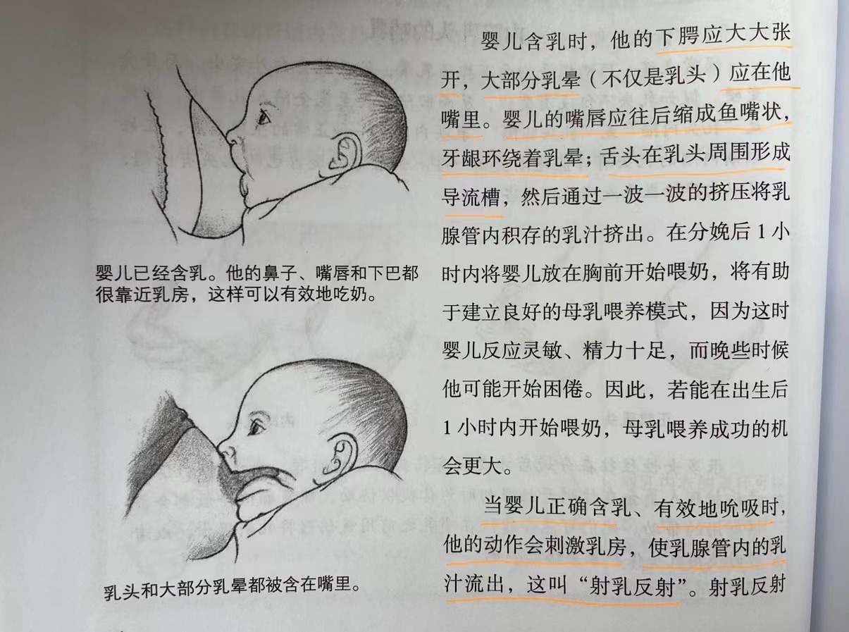 没有谁天生母乳就多，奶水不够孩子吃，可能是这5方面做错了