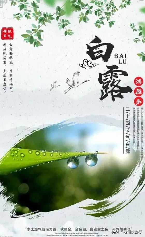 露从今夜白二十四节气之白露(节气话题今日白露露从今夜白)