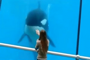 女朋友出差了，说去了上海出差，还给我发来了一张这样的照片