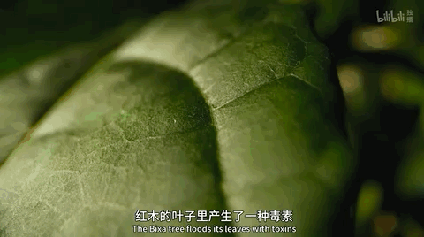 豆瓣第一电影