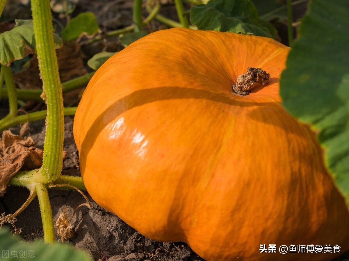 108种养胃菜谱（常吃这9种养胃食物好吃又好做）