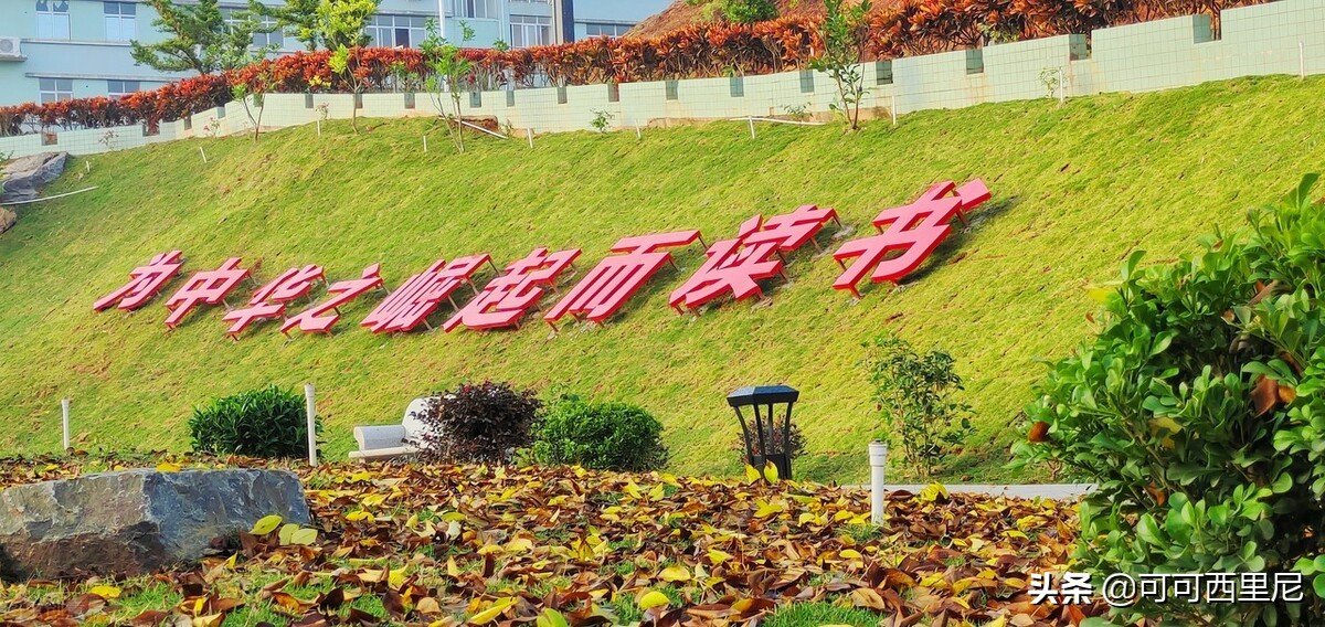 给员工买保险,给员工买保险怎么买
