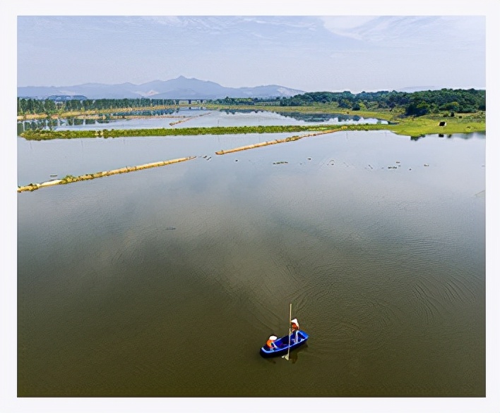 水產(chǎn)養(yǎng)殖過(guò)程，亞硝酸鹽降解不合理仍會(huì)高度反彈