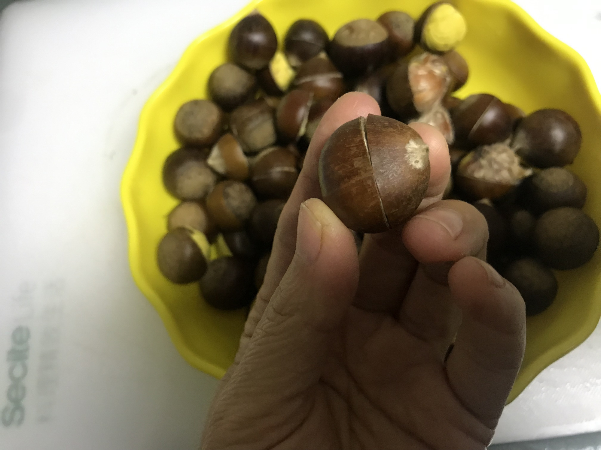 图片[3]-【栗子酱】做法步骤图 养胃健脾 保护视力-起舞食谱网