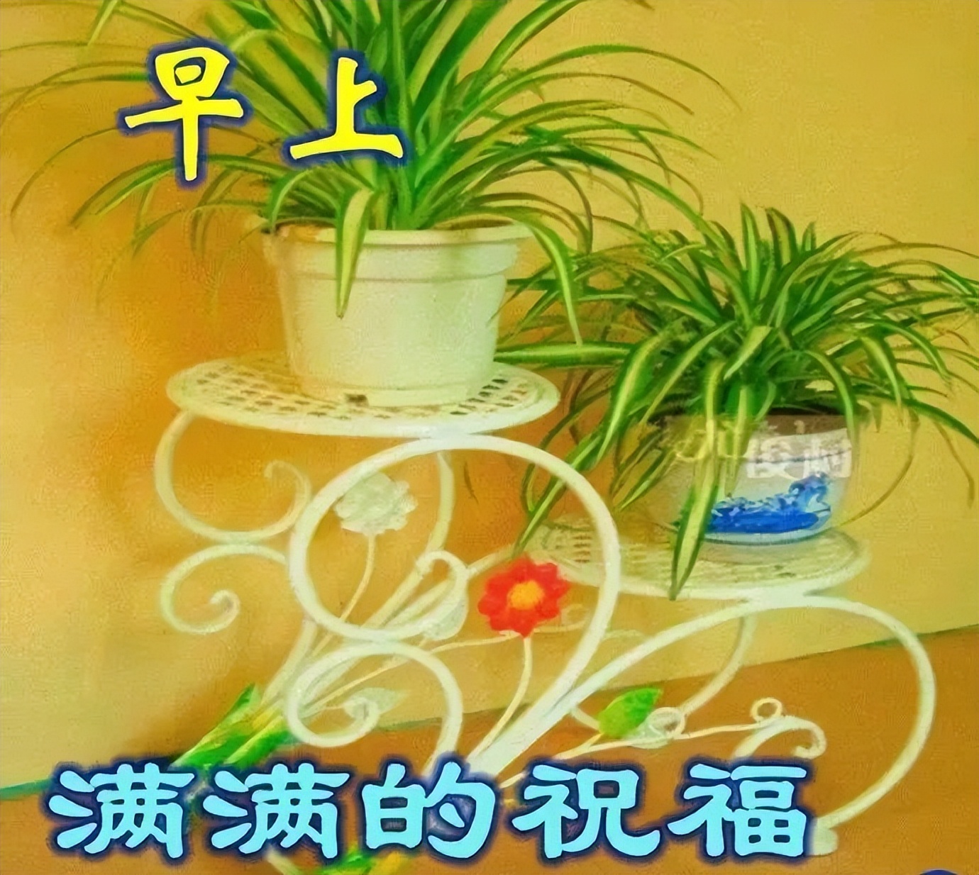 新的一天漂亮早上好图片表情包 新的一天快乐如意、祝福与你相伴图片