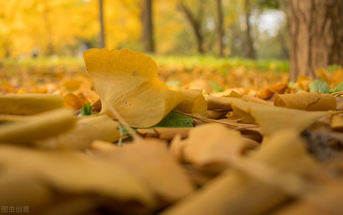 最温暖美好的句子,灵性十足