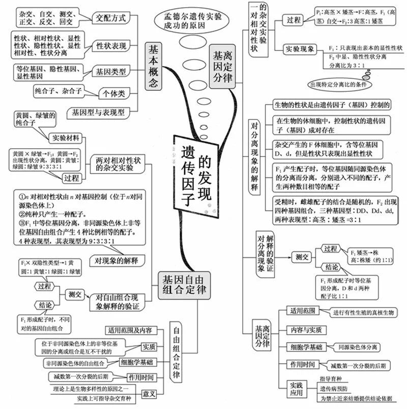 草履虫结构图(初中生物：重要知识点图解，内容清晰明了、简单易懂)