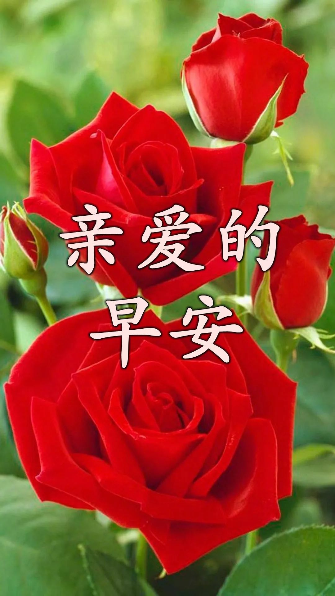 星期四微信早上好问候和关心亲友的句子 天亮一声好，心情自然好图片