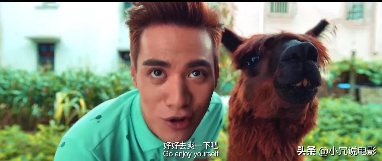 电影《睡在我上铺的兄弟》，毕业实习后，回来总结社会经验：失败