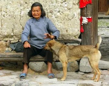 贵州老人养土狗6年，火灾时，土狗舍命救主，让人泪目