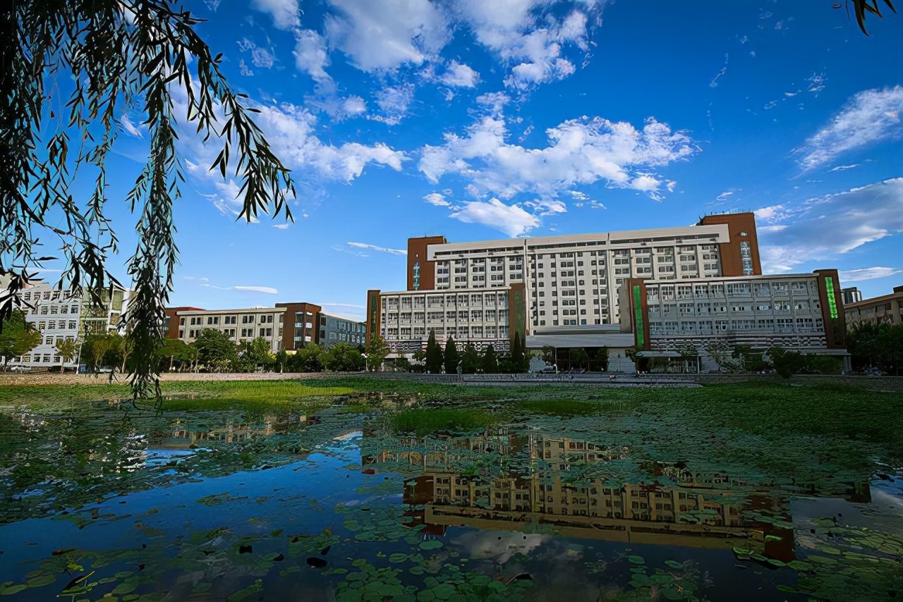 科技类高校排名出炉，华中大第一，中科大第二，南科大跌出前五