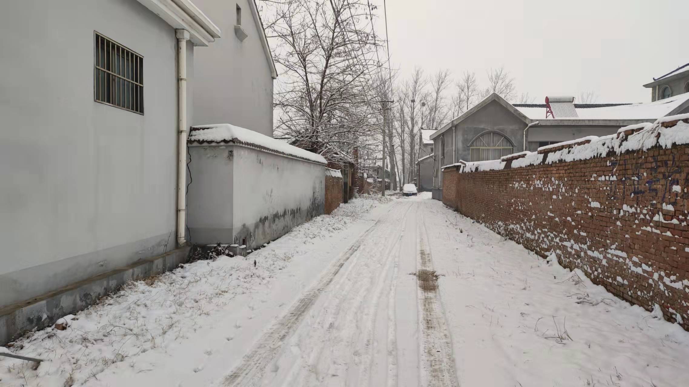 一夜大雪过后,足迹暴露出村庄的实情,农村是不是都这样