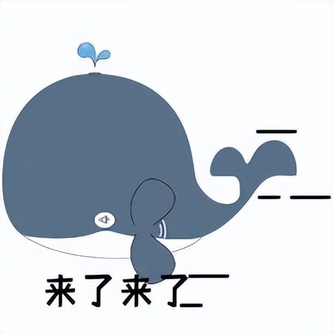 律鲸平台案源上新啦~江苏/甘肃/安徽/云南/江西/山东的律师请接案