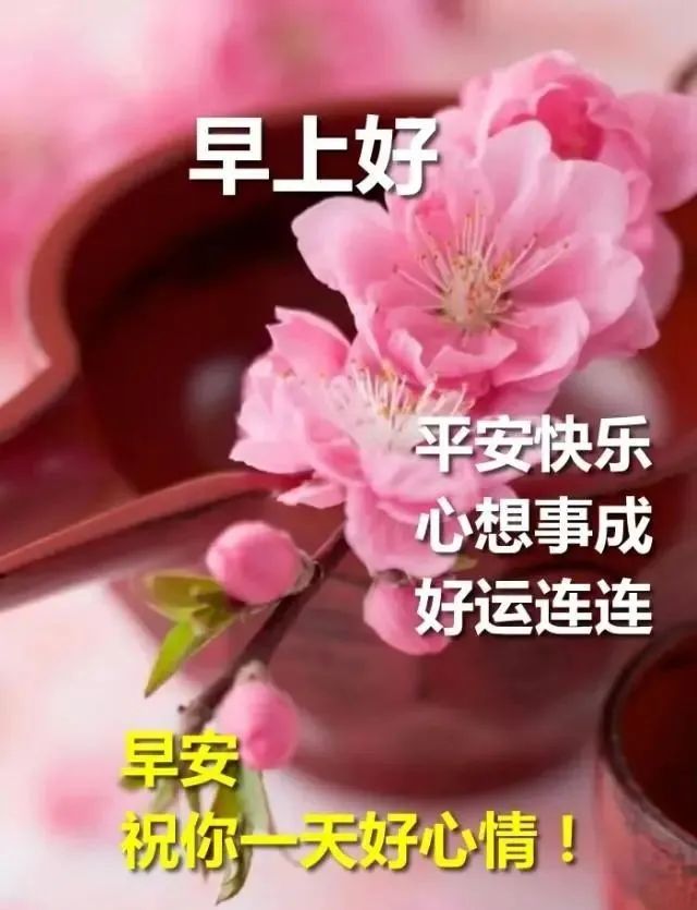 夏日漂亮早上好动态表情图片大全，暖心的问候、轻轻送给你图片