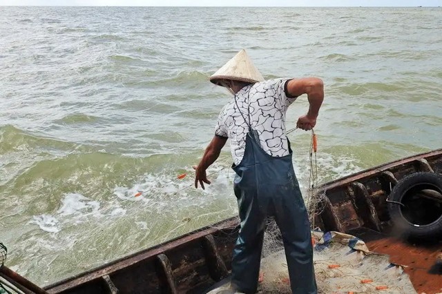 渔民捞出90公斤“鸟篆文”铁块，论斤卖65元，专家：估值至少3亿