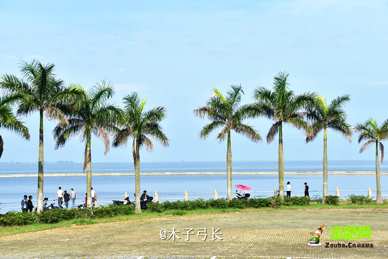 北海隔壁，广西这座安逸老城！高铁直达，嗦粉水果自由，早该火了