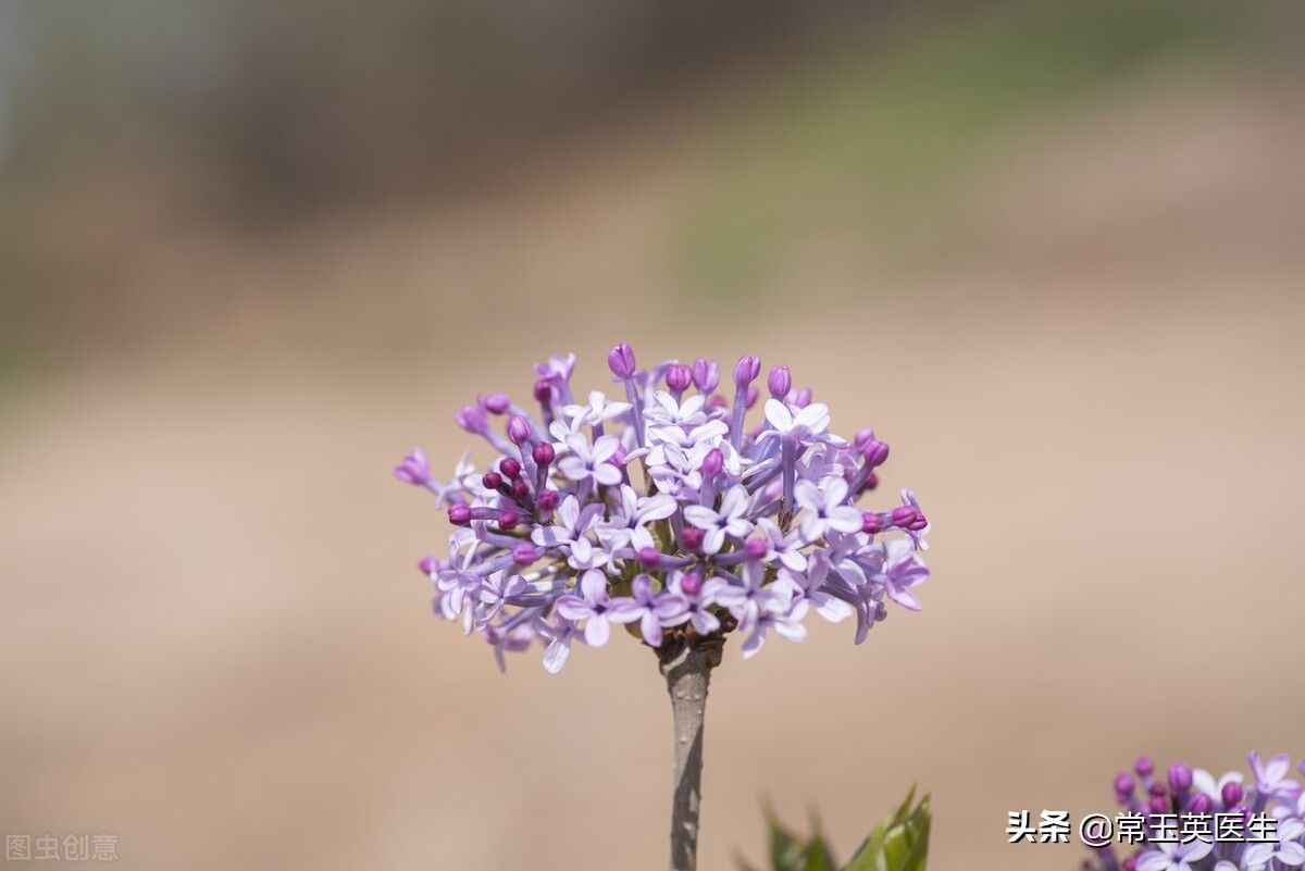 写在三月的古诗词10首