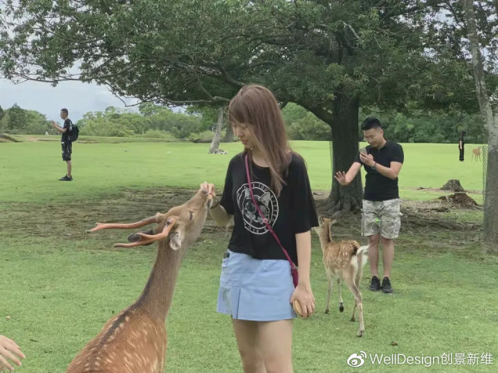 执着和坚定带我抵达了德国——去基尔学交互