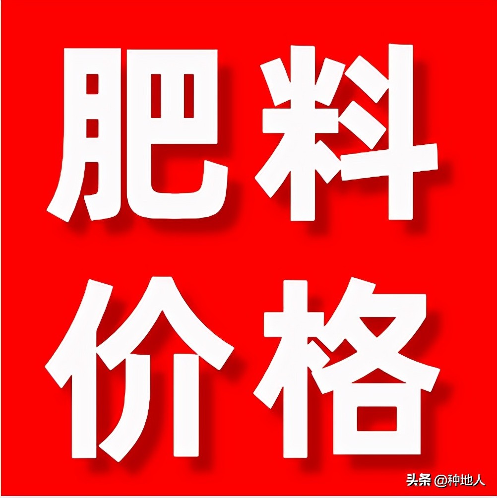 上涨50-150元！今日化肥价格2022年3月15日