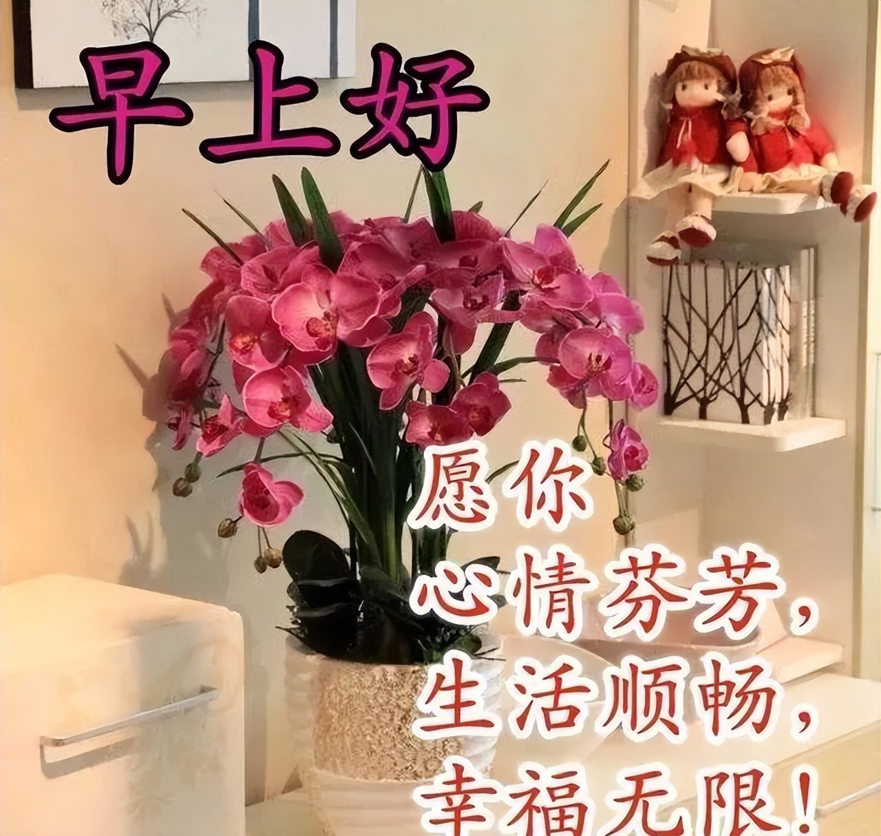 周末早上好美女表情图片，愿你心情芬芳、生活顺畅、幸福无限图片