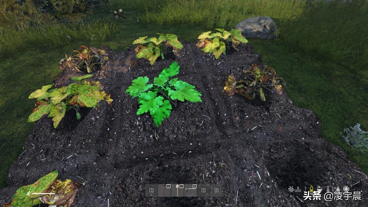 《DayZ 利沃尼亚》：在末日的荒原中挣扎求生