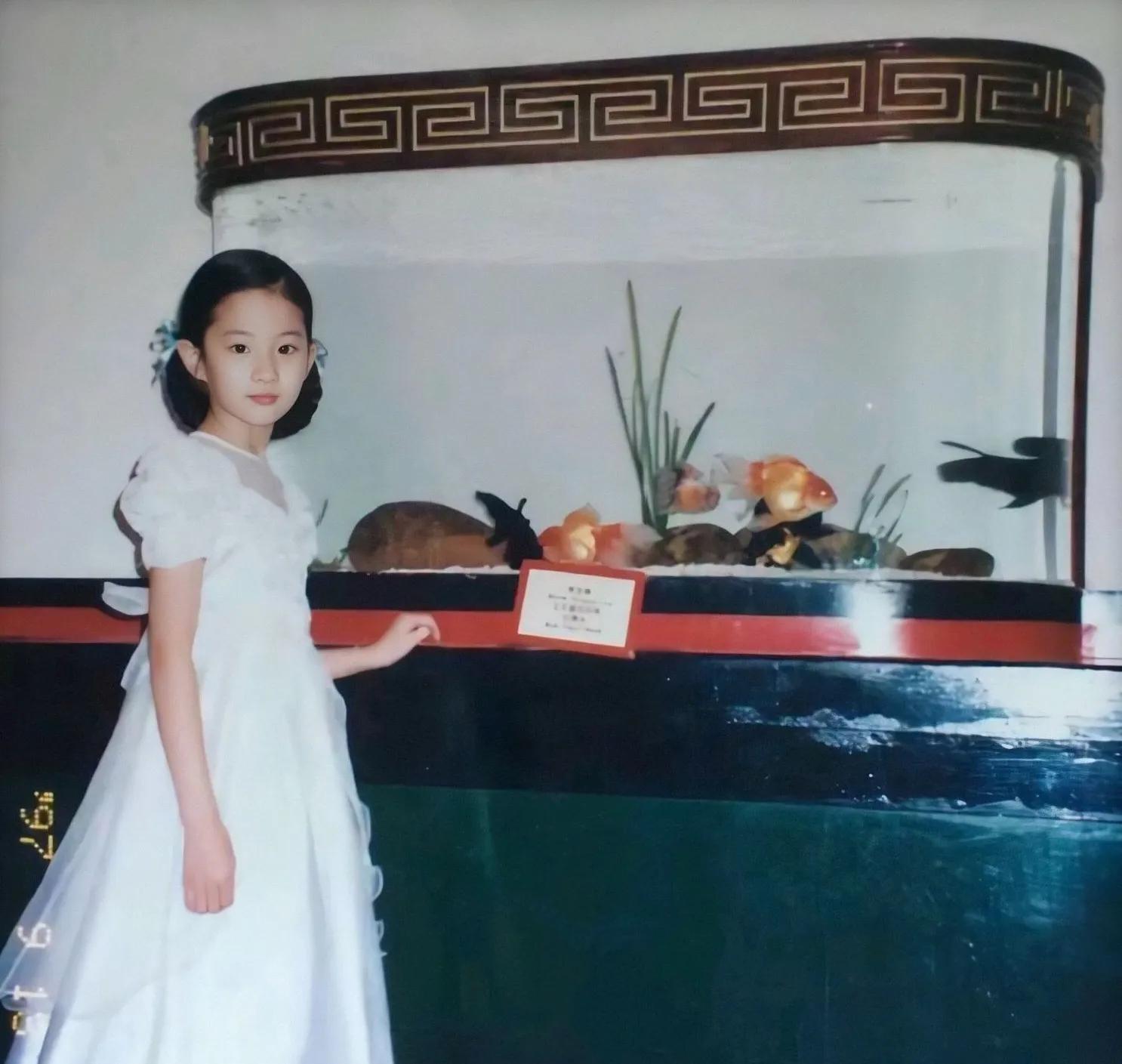 "神仙母亲"刘晓莉:自杀夺女,一手捧红刘亦菲,对自己有多狠心