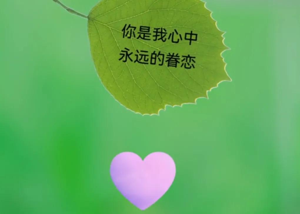 相隔千山万水，也要奔你而去；想你，长长的思情，贯穿内心世界