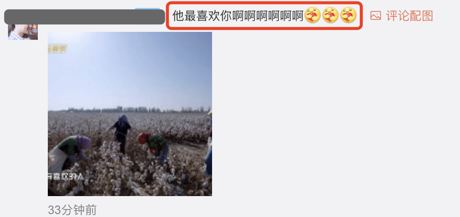 张智霖戴头巾摘棉花被阿姨误认为20多岁，袁咏仪调侃他是狼外婆