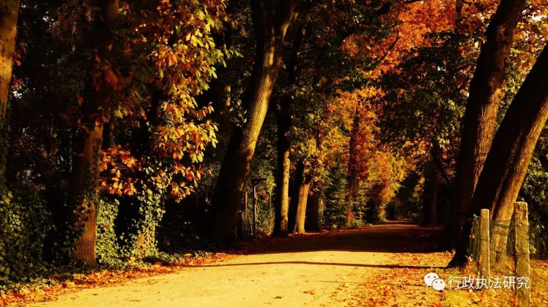 陈兴良｜| 四要件：没有构成要件的犯罪构成