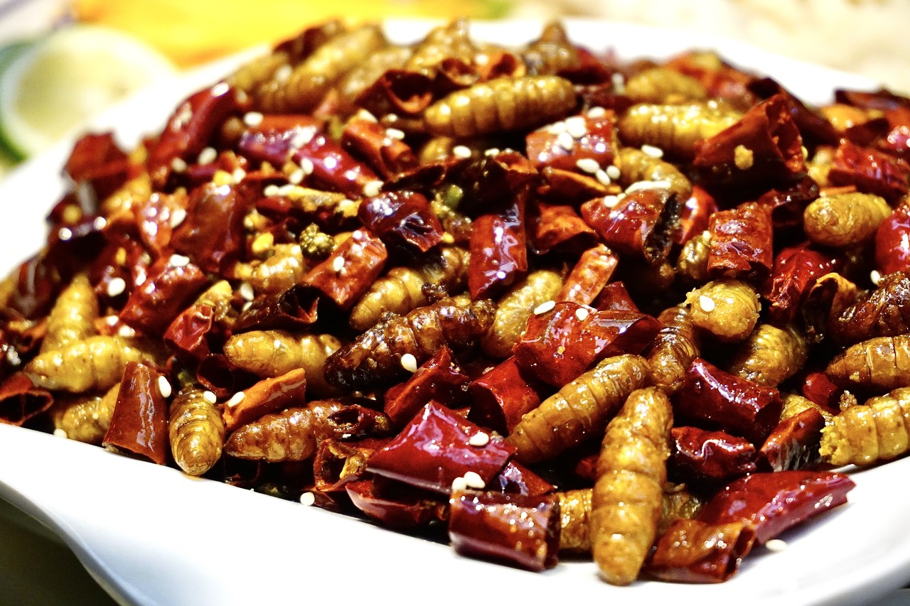 百虫入宴,道道皆芬芳