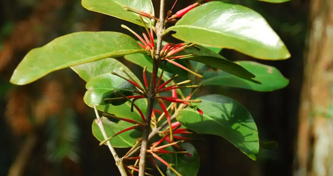 ����������������ѧ�ң�����21���²����£���������10�»�̥