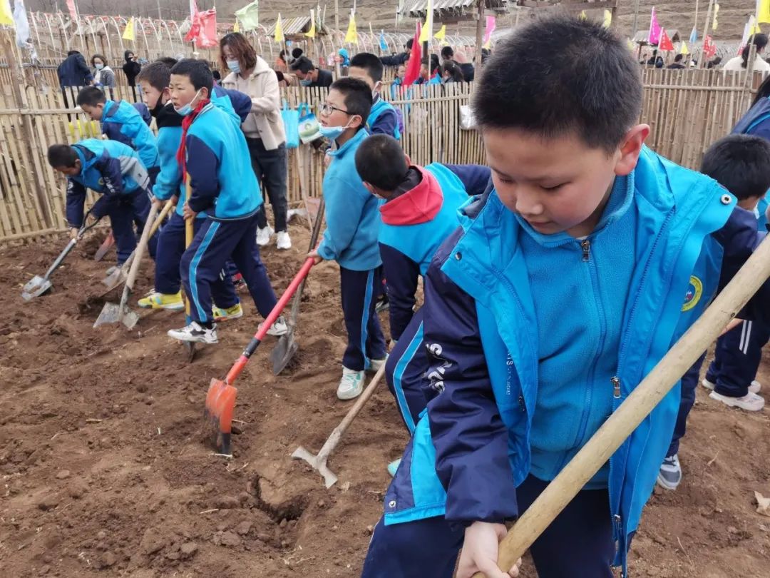临潭“双减”实践：城关三小把课堂搬进菜园