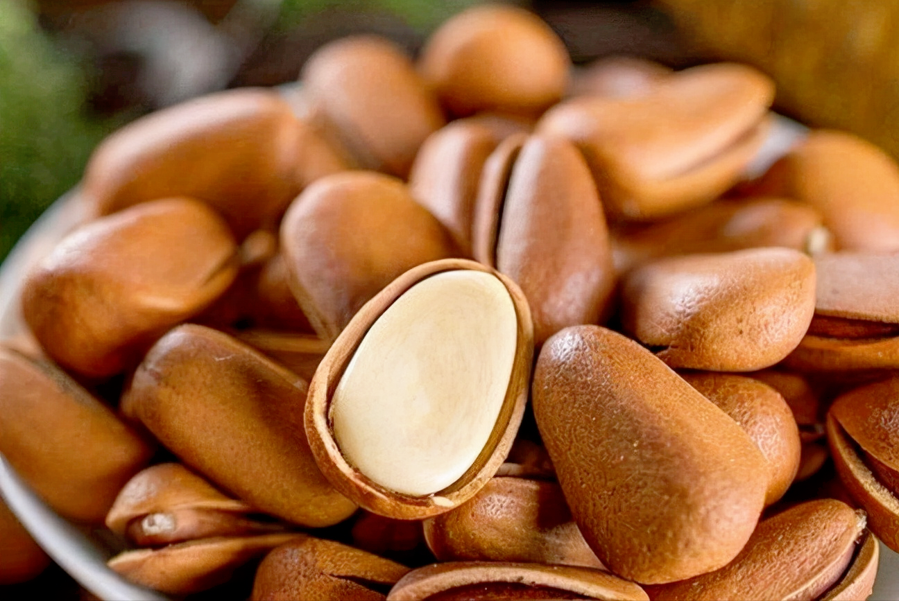 你喜欢哪一种?我喜欢家乡的华山松松子