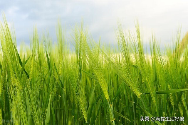 圣诞节是爱你的人为你准备的礼物（用心的圣诞节礼物）