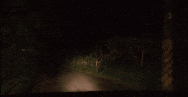 《咒》绝了！它就是今年华语第一鬼片