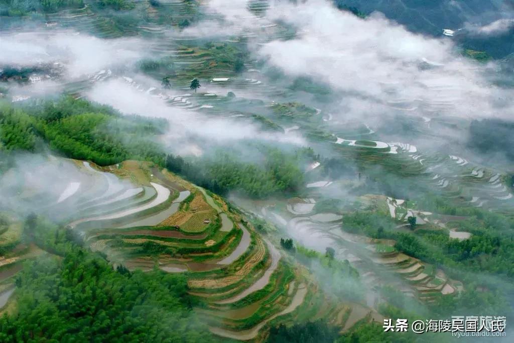 国学《山海经》东山三经——精精，一头牛长着马尾巴