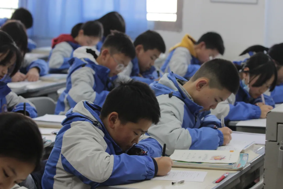 强强联合！协同外语携手石室中学，探索“双减”下的协同高效课堂