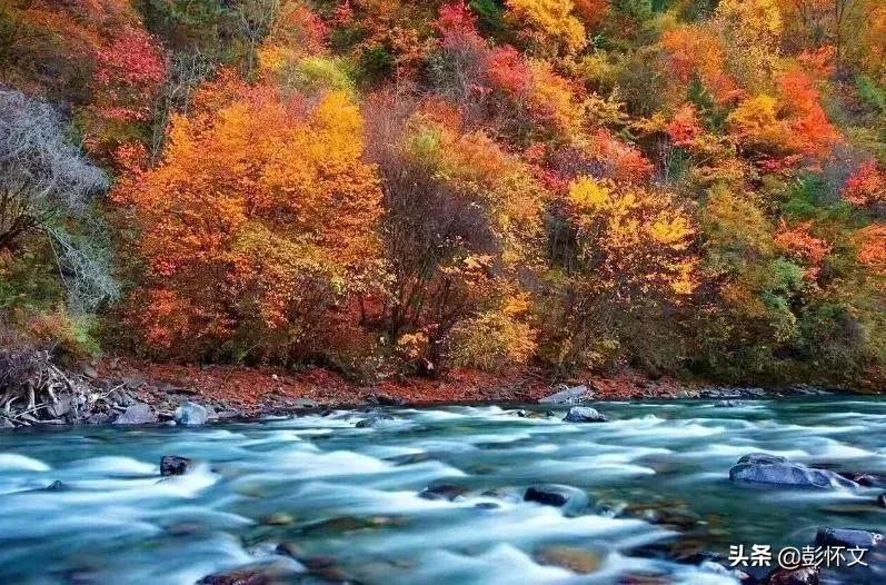 估价入库的会计分录（财税实务问题解答9则）