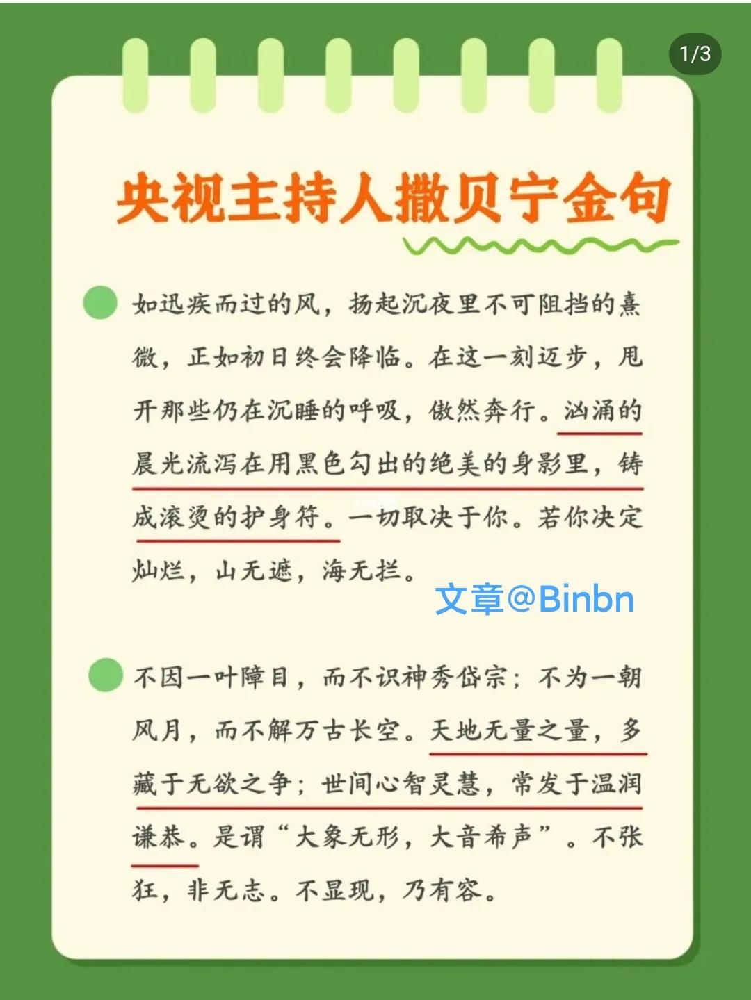 央视男神撒贝宁，张口就是满分作文