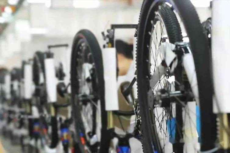 自行單車回潮，訂單接到2024年，公路人均騎行者