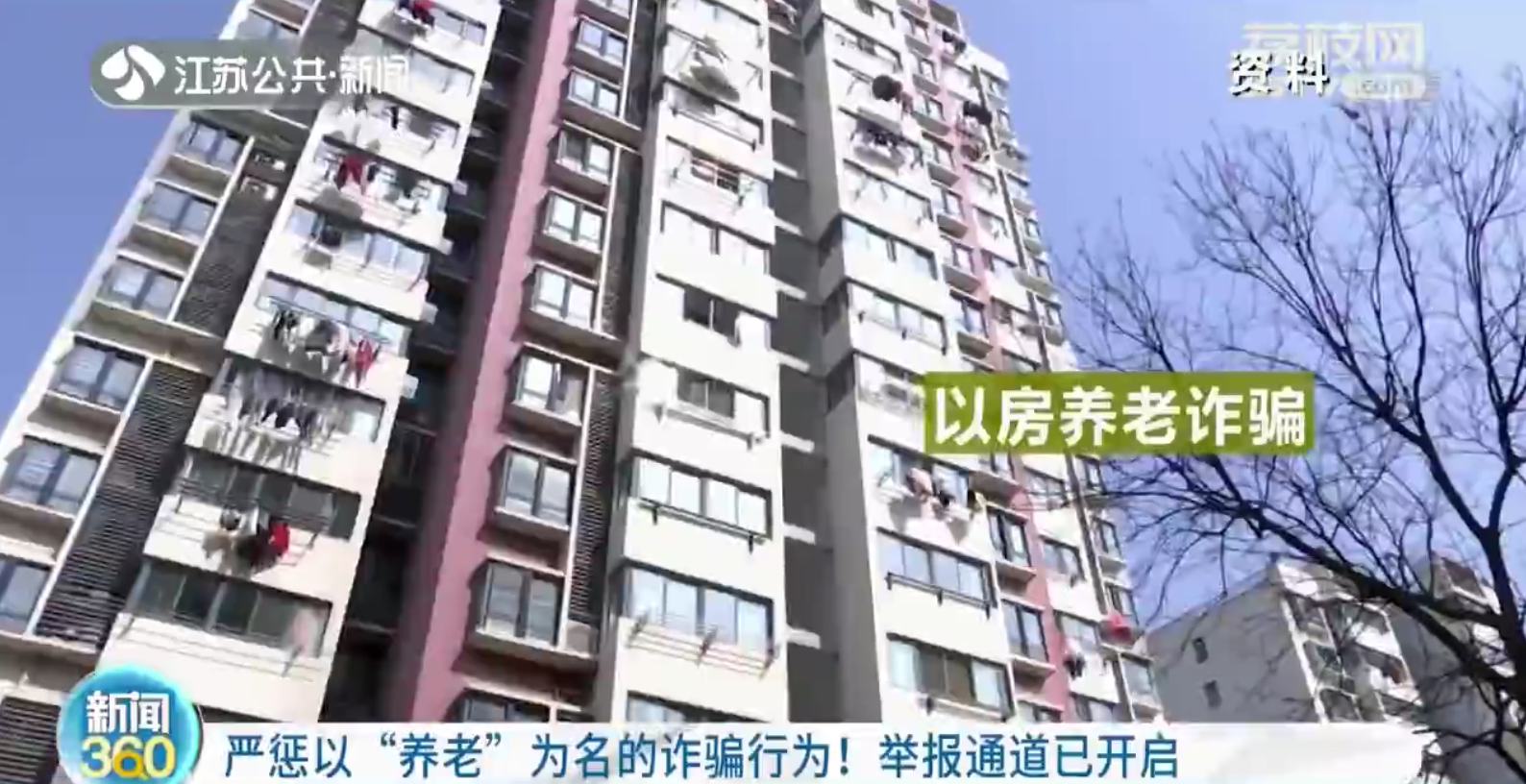 严惩以“养老”为名的诈骗行为！举报通道已开启
