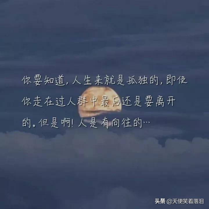 简短好句分享(消失宾妮经典语录)