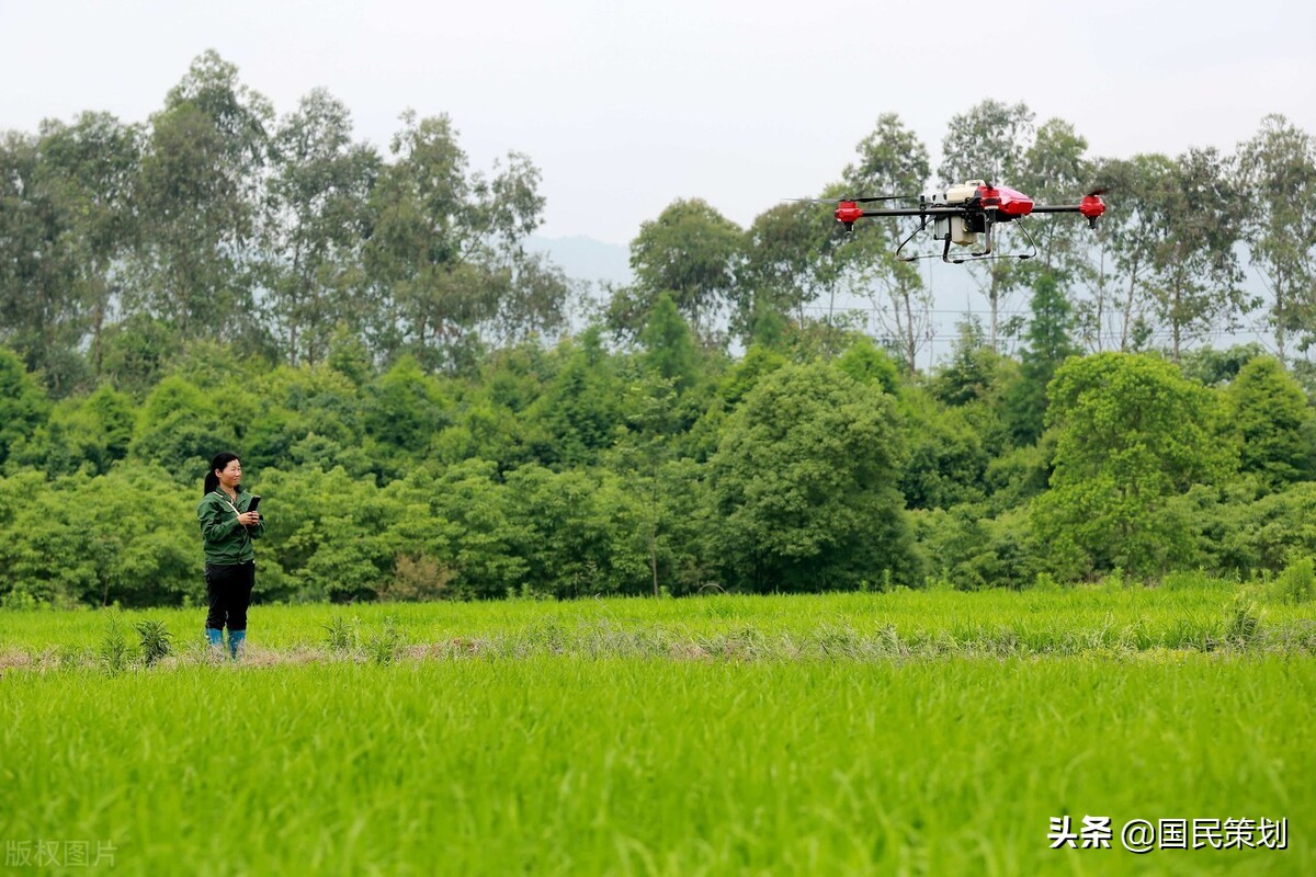 官方：鼓励有意愿农户成为家庭农场！拐点已出现，小农业是载体？