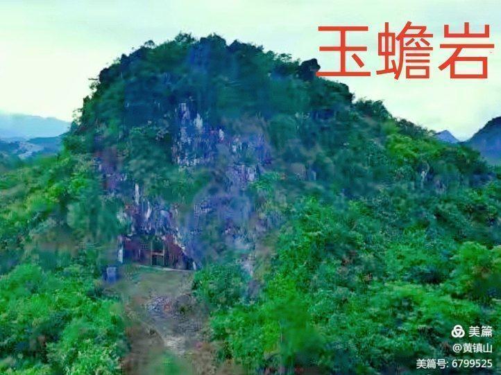 黄镇山：世界陶稻黍文明起源中国万年前