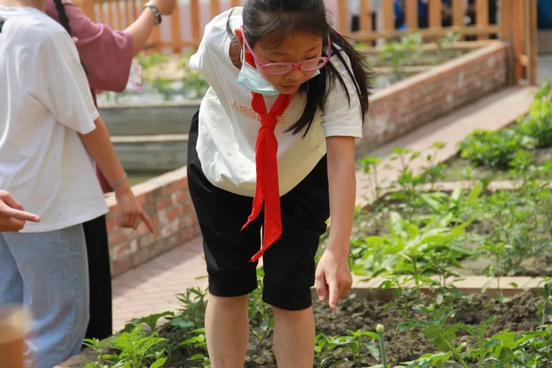 “等风来”不如“迎风去”| 记成都市双流区九江小学劳动教育之路
