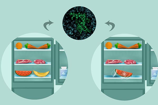 有人说煮熟后的苹果没营养，是真的吗？一天之中什么时间吃最好？