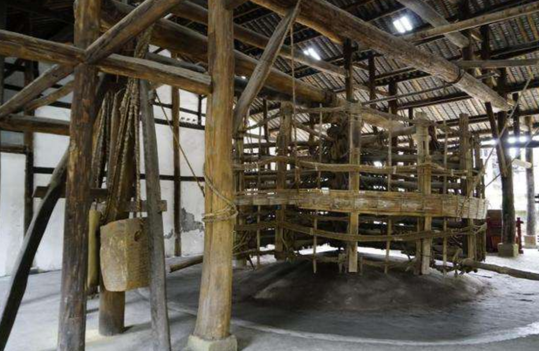 人离不开盐，十天不吃盐身体就“亮红灯”，那原始人怎么办？