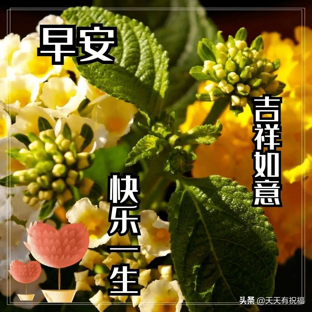 春天最美早上好动态图片带祝福语，群发早上好问候暖心语句及图片