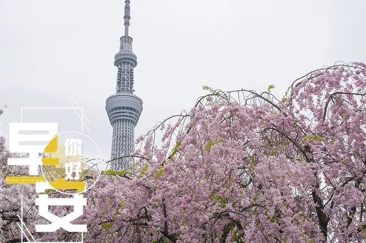 早上好的图片带字，最美早上好图片字鲜花，心之所愿、无所不成图片