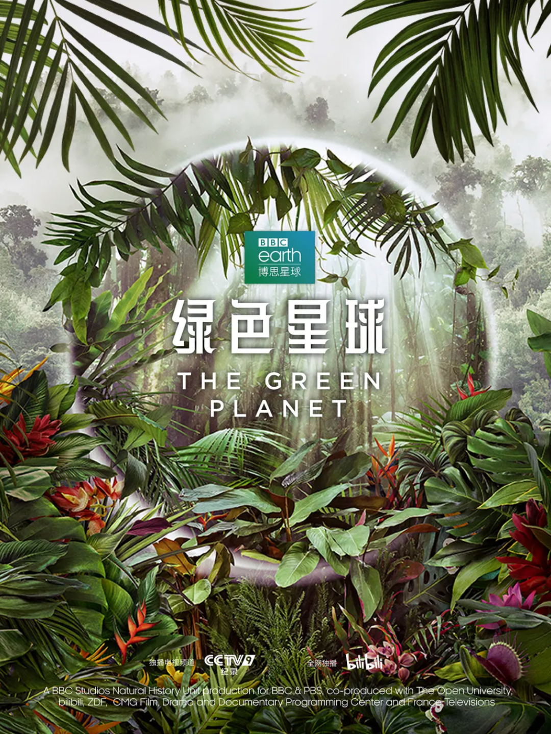 豆瓣第一电影